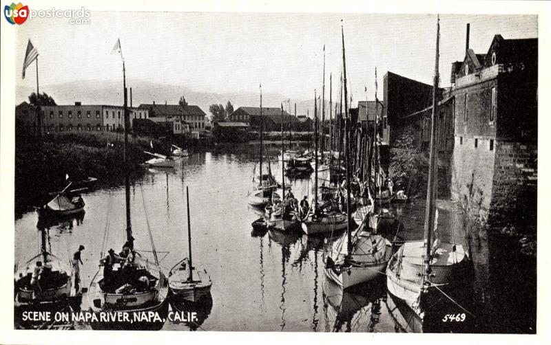 Scene on Napa River