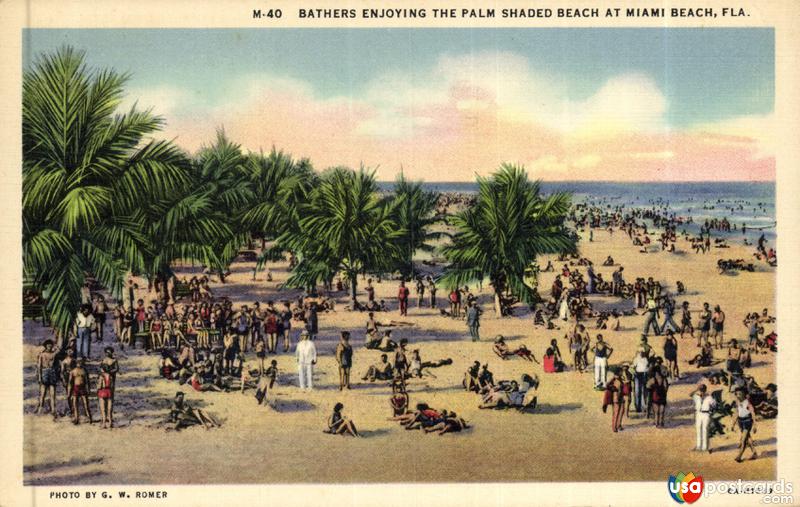 Bathers Enjoying The Palm Shaded Beach at Miami Beach