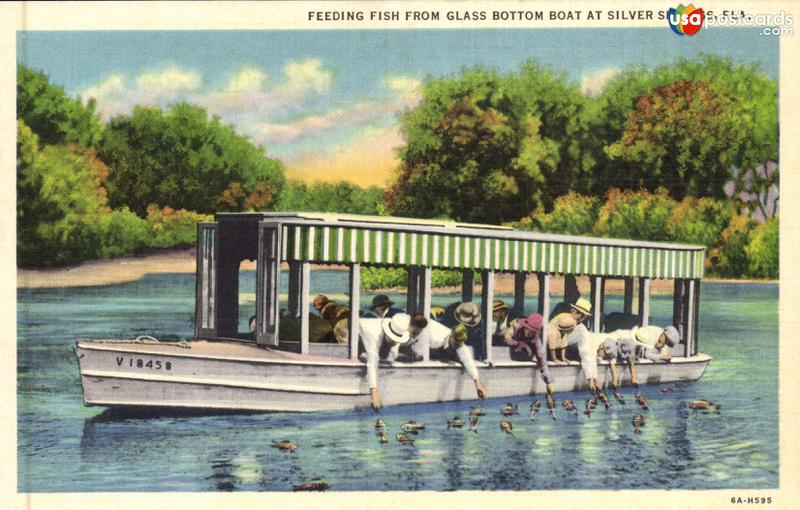 Feeding Fish from Glass Botoom Boat at Silver Springs