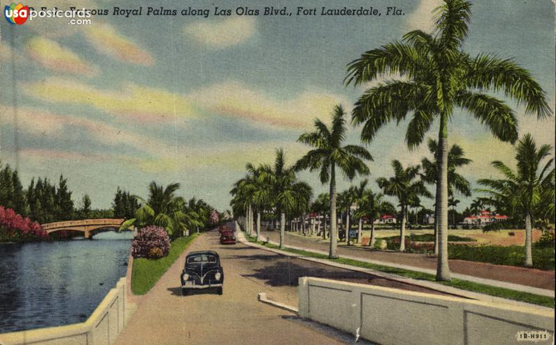 Famuos Royal Palms along Las Olas Blvd