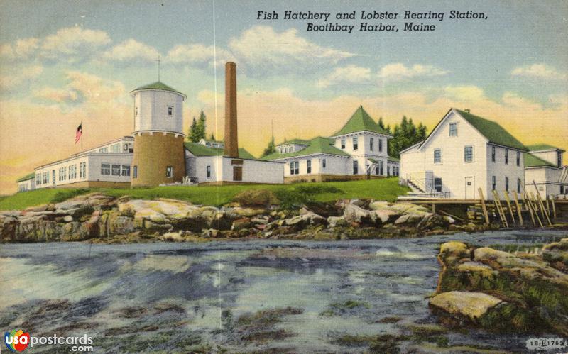 Pictures of Boothbay Harbor, Maine, United States: Fish Hatchery and Lobster Rearing Station