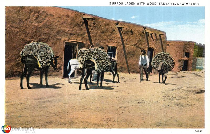 Burros Laden With Wood