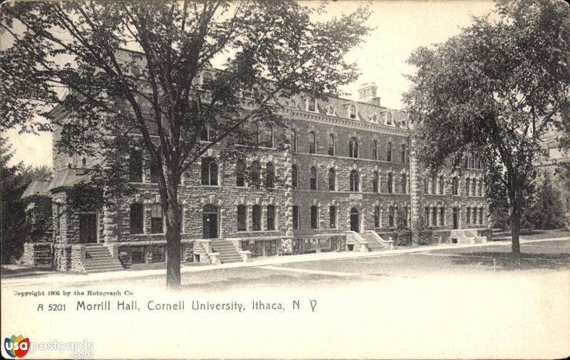 Morrill Hall, Cornell University