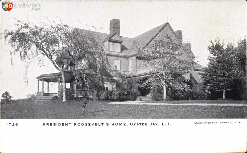 President Roosevelt´s Home