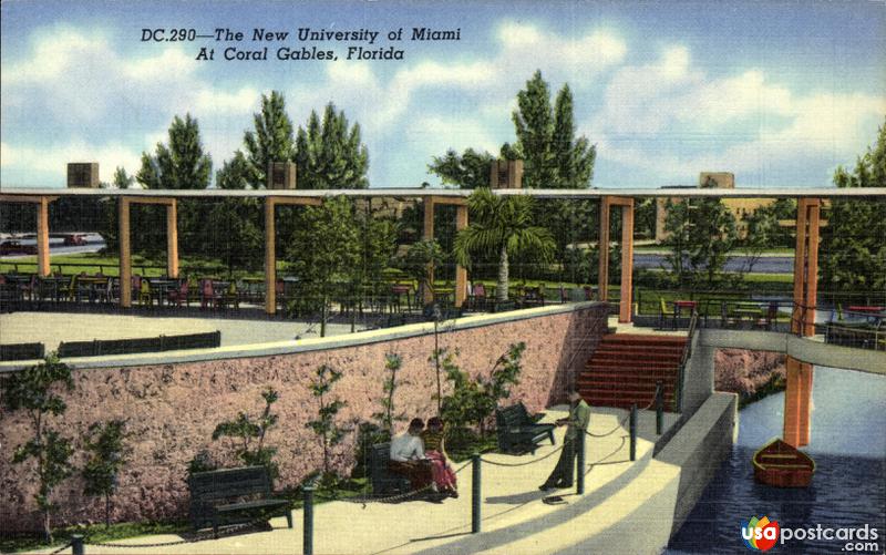 The New University of Miami