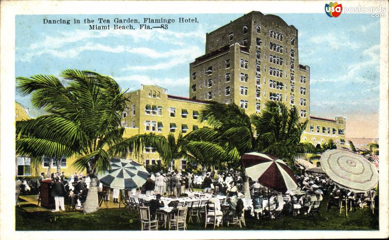 Dancing in the Tea Garden, Flamingo Hotel