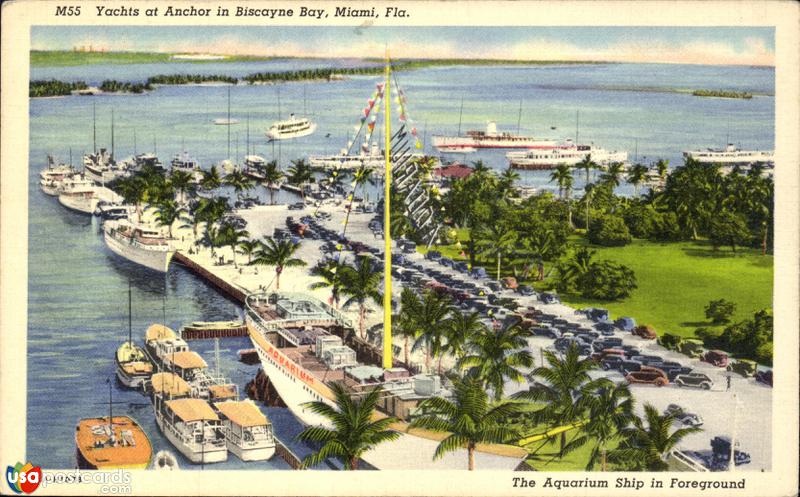 Yachts at anchor in Biscayne Bay