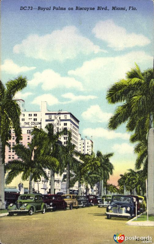 Royal Palms on Biscayne Boulevard