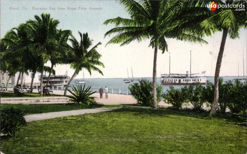 Biscayne Bay from Royal Palm grounds