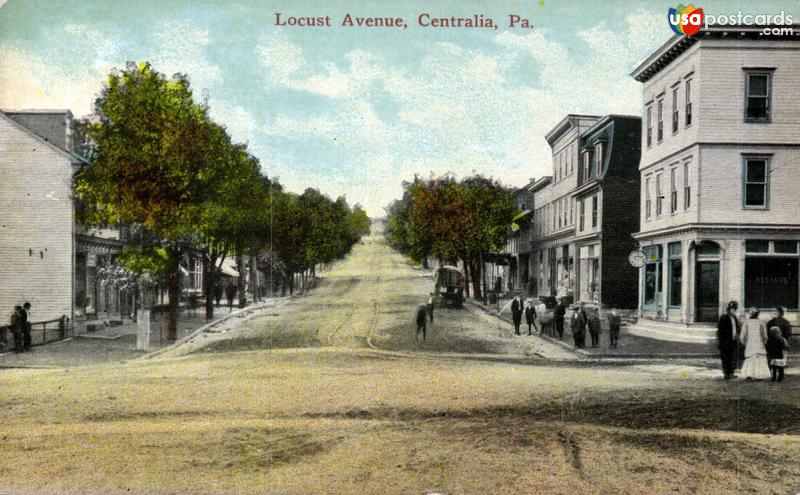 Locust Avenue