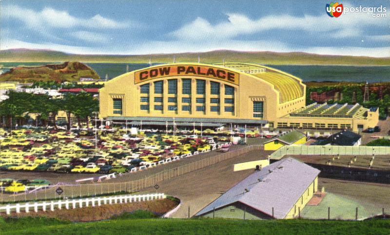 Cow Palace