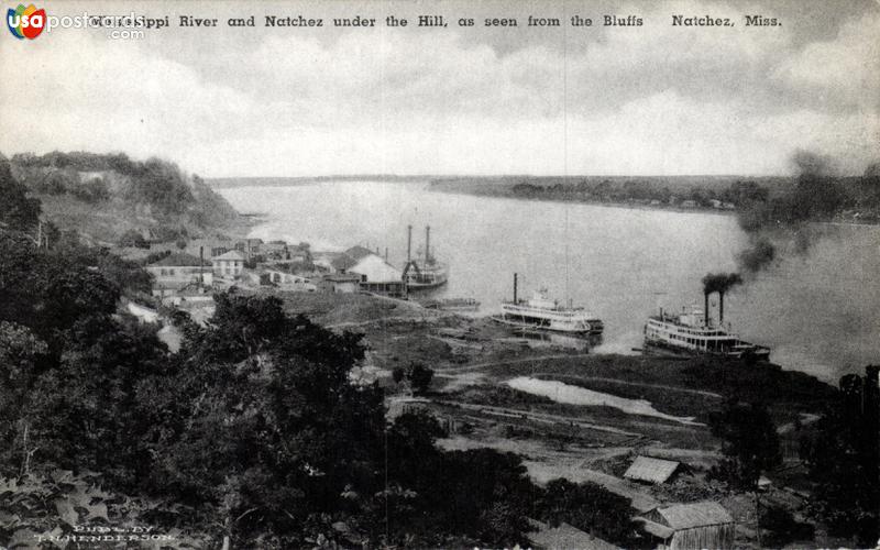 Mississippi River and Natchez, as seen from the Bluffs