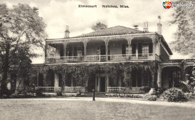 Elmscourt