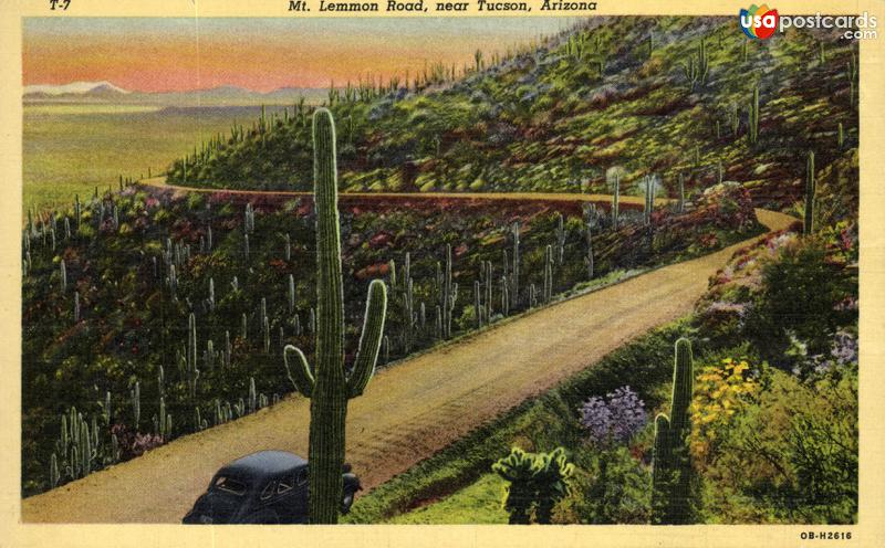 Pictures of Tucson, Arizona: Mt. Lemmon Road near Tucson