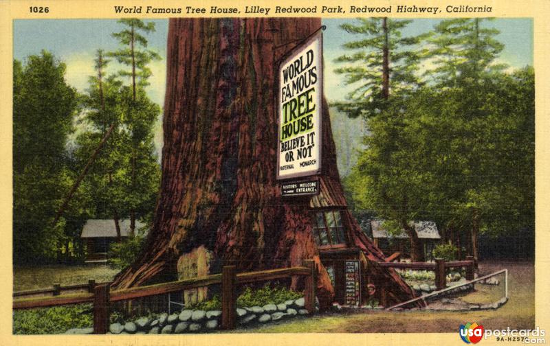 Pictures of Redwood Forest, California: World Famous Tree House