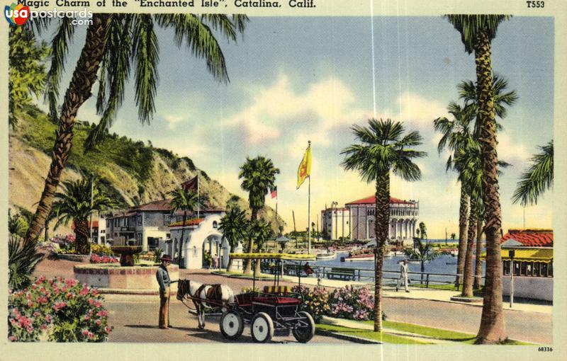 Pictures of Santa Catalina Island, California: Magic Charm of the Enchated Isle