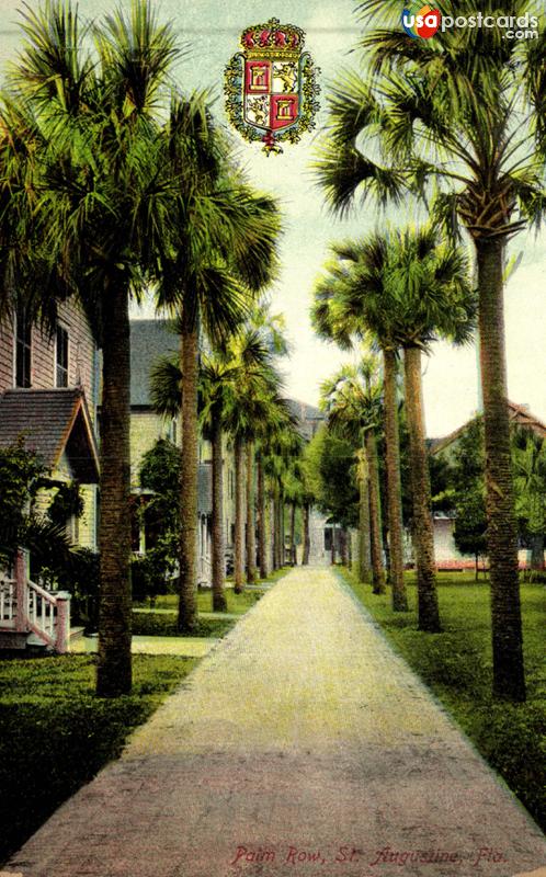 Pictures of St. Augustine, Florida: Palm Row
