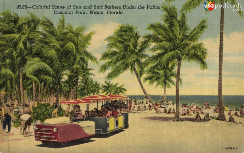 Pictures of Miami, Florida: Colorful Scene of Sun and Surf Bathers Under the Palms, Crandon Park