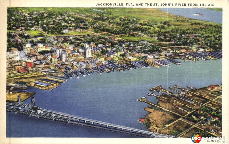 Pictures of Jacksonville, Florida: St. John´s River from the Air