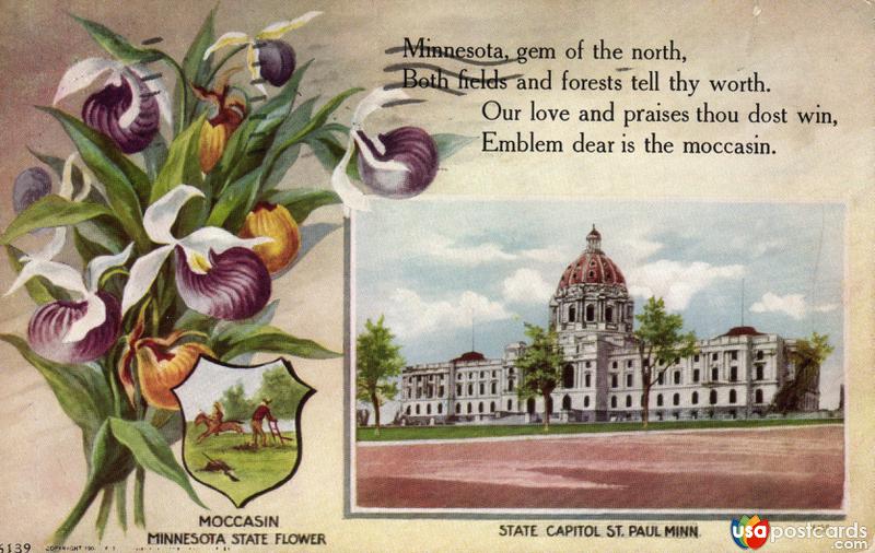 Pictures of St. Paul, Minnesota: Moccasin Minnesota State Flower / State Capitol St. Paul Minn