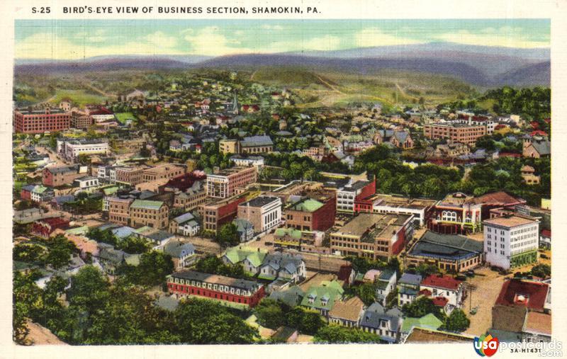 Pictures of Shamokin, Pennsylvania: Bird´s Eye View of Business Section