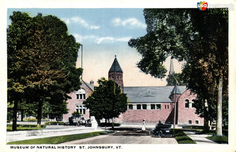 Pictures of St. Johnsbury, Vermont: Museum of Natural History