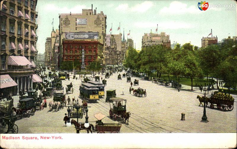 Pictures of New York City, New York: Madison Square