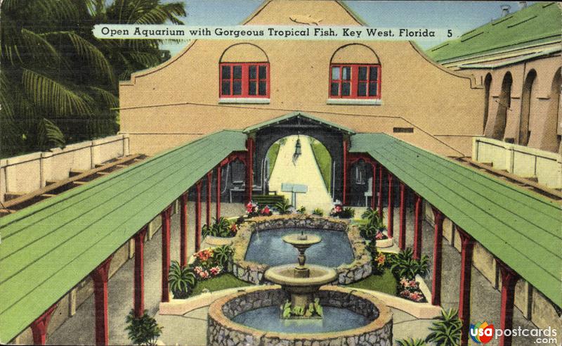 Pictures of Key West, Florida: Open Aquarium with gorgeous tropical fish
