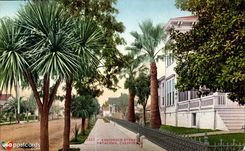 Pictures of Petaluma, California: Residential Street