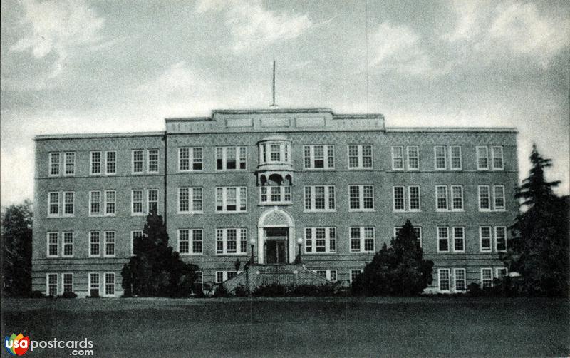 Pictures of State College, Mississippi: Library, Mississippi State College