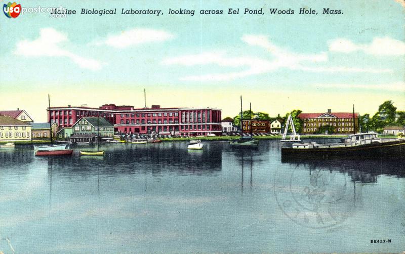Pictures of Woods Hole, Massachusetts: Marine Biological Laboratory, looking across Eel Pond