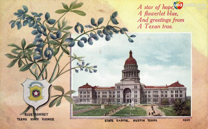 Pictures of Austin, Texas: State Capitol. A star of hope…