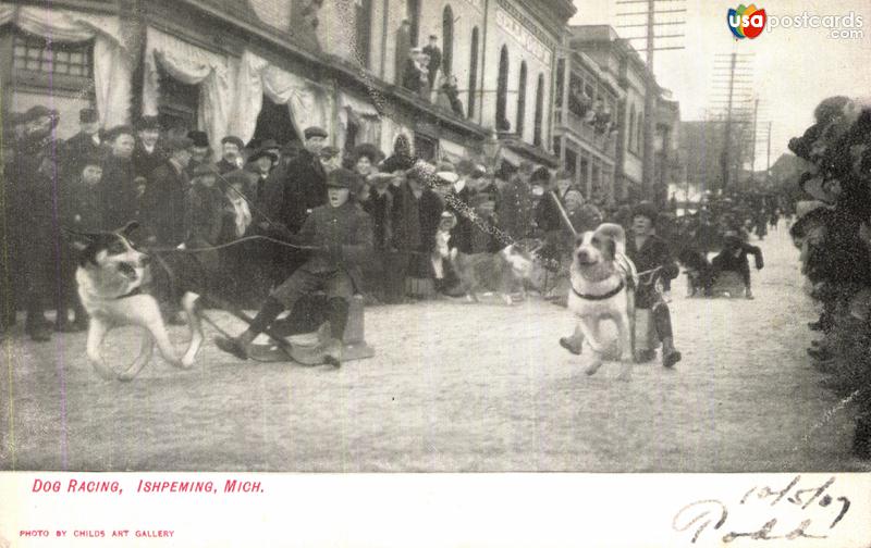 Pictures of Ishpeming, Michigan: Dog Racing