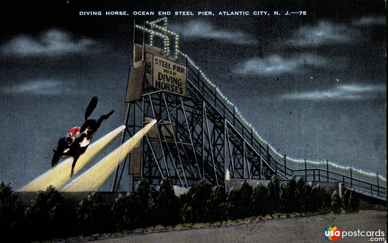 Pictures of Atlantic City, New Jersey: Diving Horse, Ocean End Steel Pier