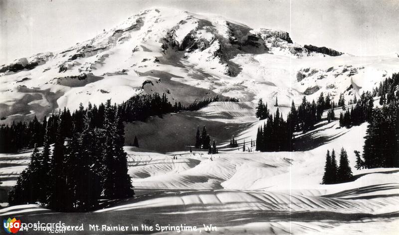 Pictures of Rainier National Park, Washington: Mount Rainiert in the Springtime