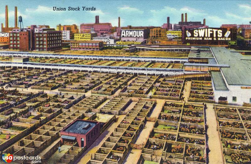 Pictures of Chicago, Illinois: Union Stock Yards