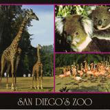 Zoológico de San Diego, fué considerado el mas grande del mundo