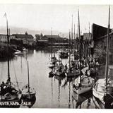 Scene on Napa River