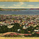 University of California Campus in Foreground and San Francisco Bay with Bridges in Background