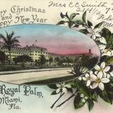 A Merry Christmas and Happy New Year / Hotel Royal Palm