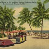 Colorful Scene of Sun and Surf Bathers Under the Palms, Crandon Park
