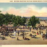 Bathers Enjoying The Palm Shaded Beach at Miami Beach