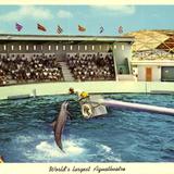 World´s largest Aquatheatre