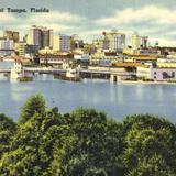 Skyline of Tampa