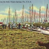 Sponges along the Dock, Tarpon Springs