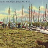 Sponges along the Dock, Tarpon Springs