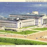The Field Museum of Natural History