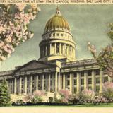 Cherry Blossom Time at Utah State Capitol Building