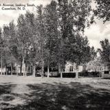 Fourth Avenue, looking South