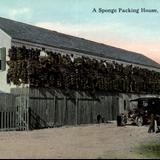 A sponge packing house